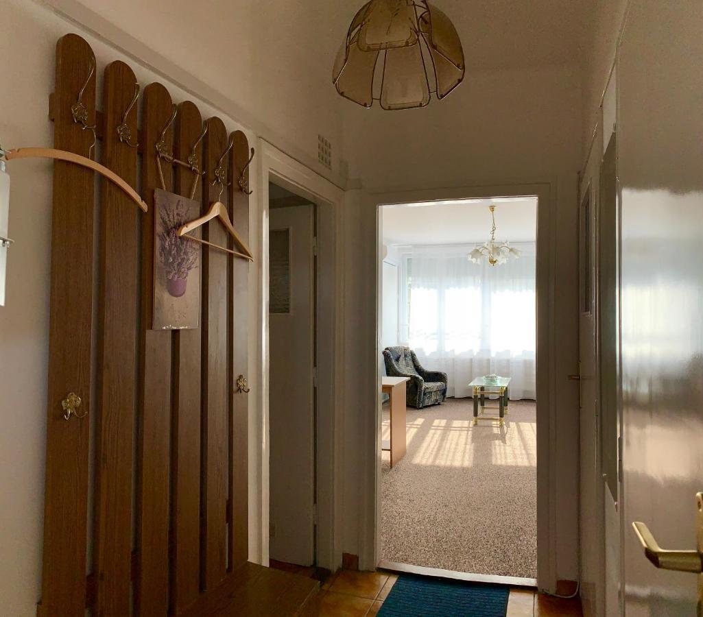Cozy Apartment In The City Centre Next To Dom Square Szeged Exteriör bild