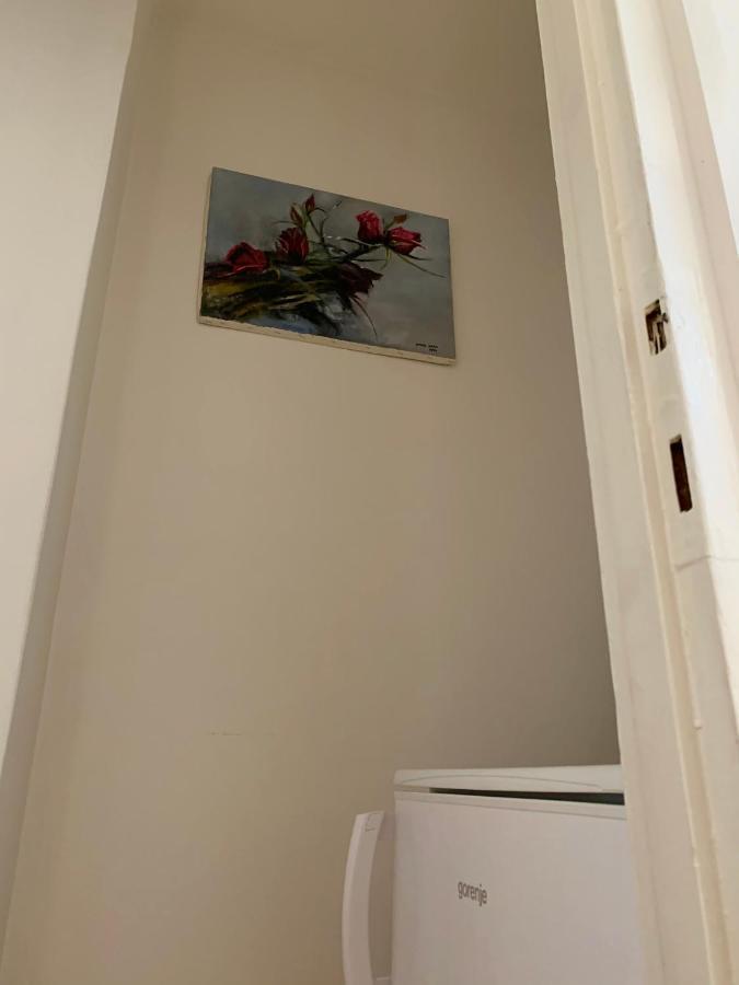 Cozy Apartment In The City Centre Next To Dom Square Szeged Exteriör bild