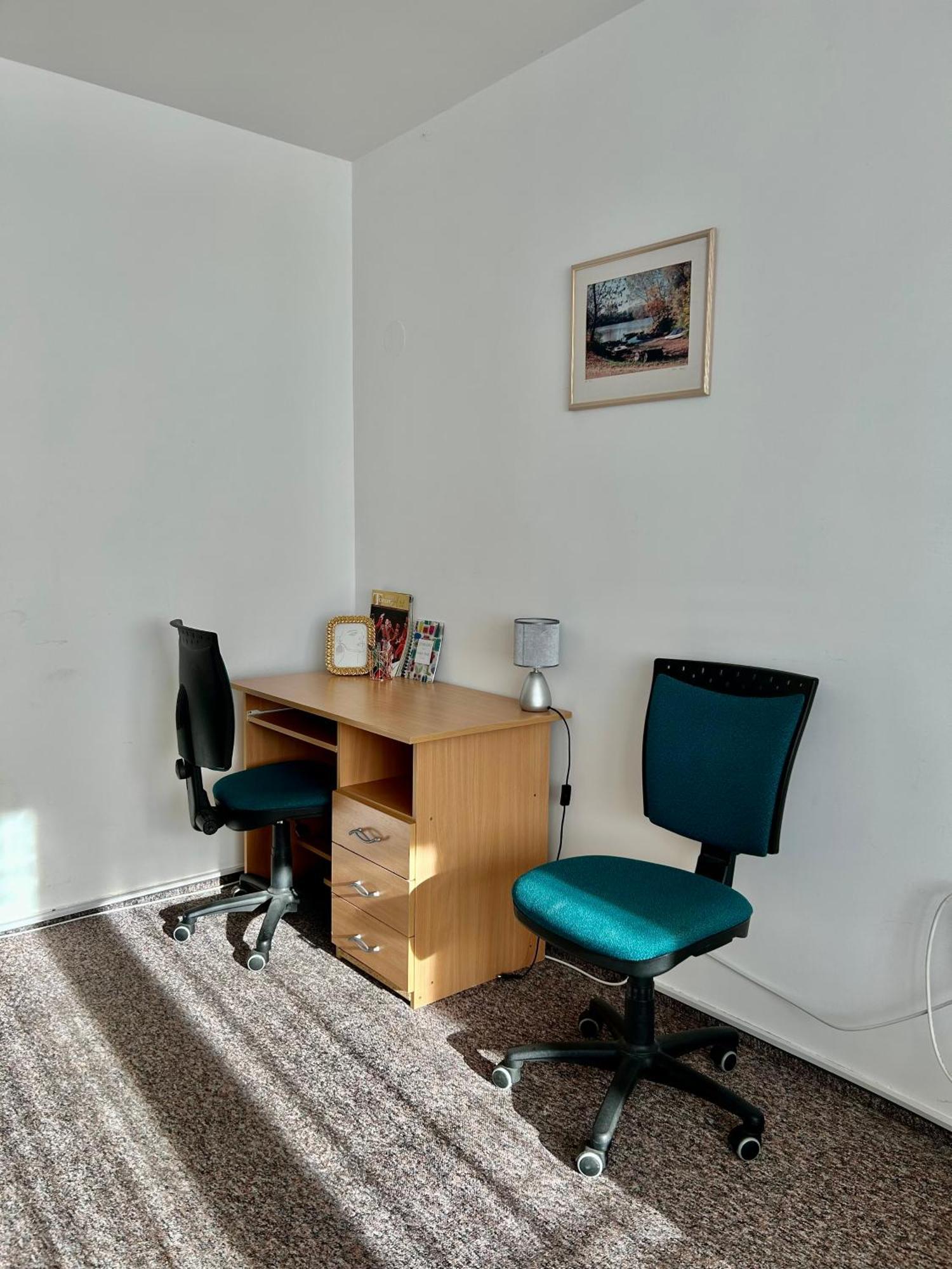 Cozy Apartment In The City Centre Next To Dom Square Szeged Exteriör bild