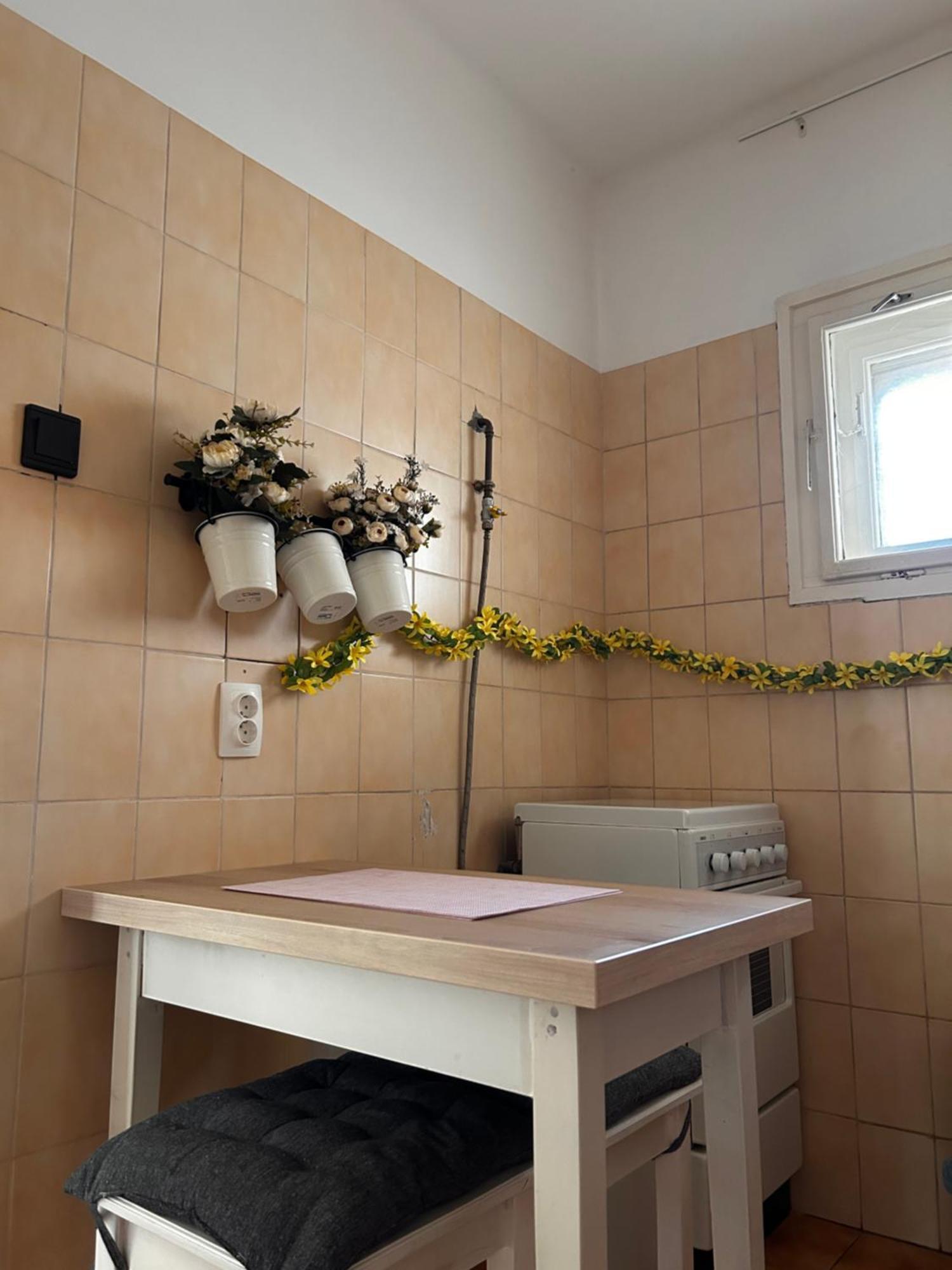 Cozy Apartment In The City Centre Next To Dom Square Szeged Exteriör bild